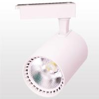 ERKLED 30 WATT BEYAZ KASA RAY SPOT ERK3715