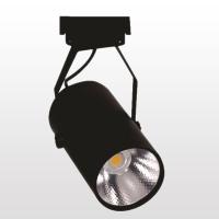 ERKLED 30 WATT SİYAH KASA RAY SPOT ERK3721